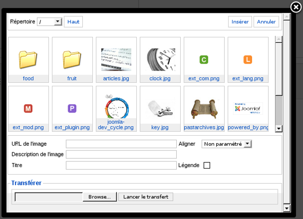 Joomla! Administration: Insertion d'une image dans le texte